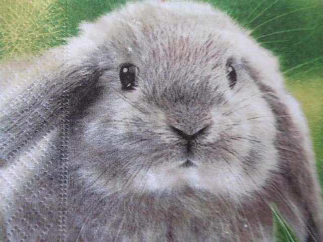 ... so, und nun, alles schon VORBEI!