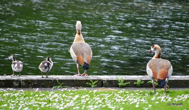 Kontrollblick... alles klar?!?