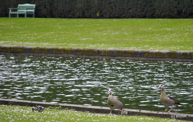 Kaum zu sehen... durch das Wasser