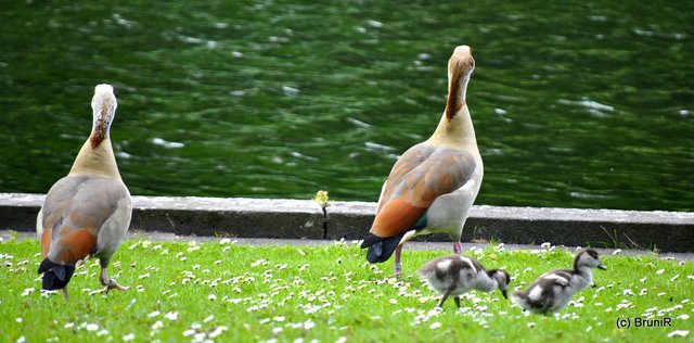 Was war da nur auf dem Wasser???