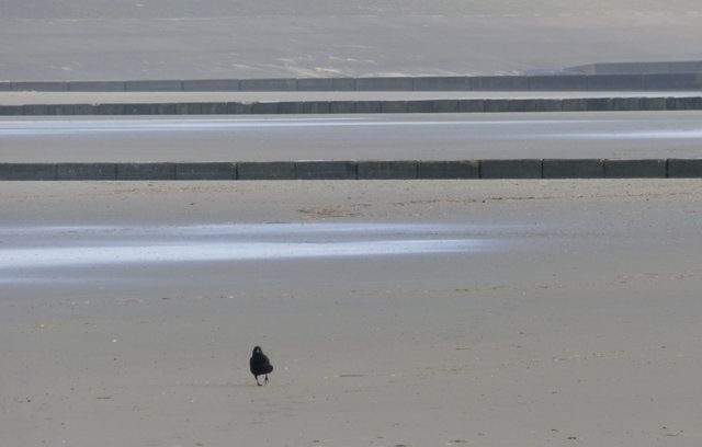 einsamer Strandgeist