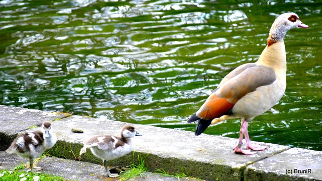Jetzt eine Runde Schwimmen???