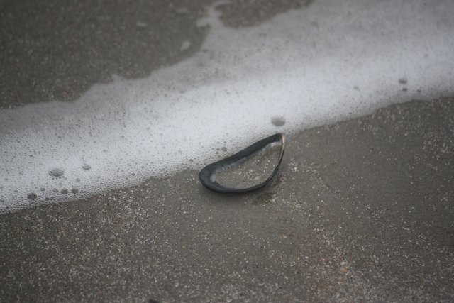 Der Wassergeist kommt näher