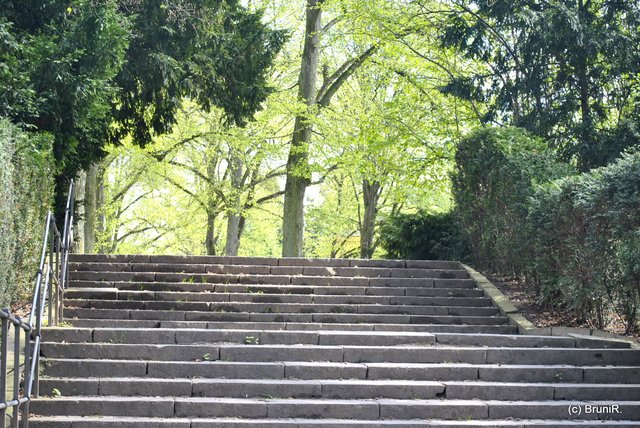 Ich parkte an der Orangerie und hatte diese Stufen zum langen Weiher hinunter genommen; dann auf die anderen gewartet!