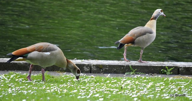 Erst mal die Lage peilen!