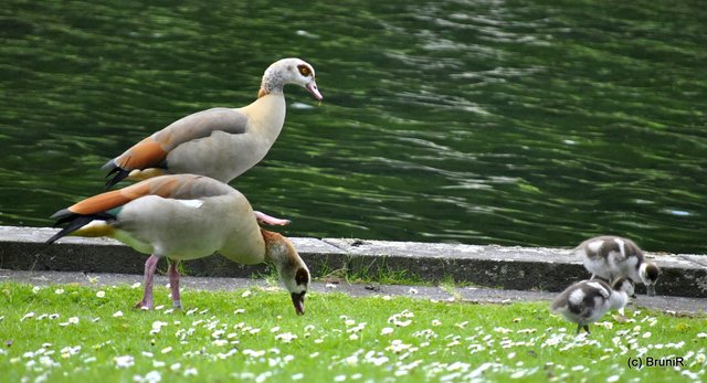 Erst noch ein wenig futtern!