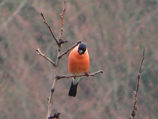 Hallo du da, fotografierst du etwa mich? ;-))