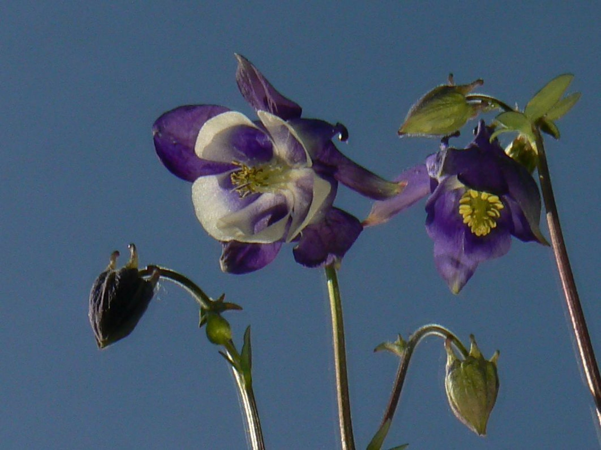 Bodenspiegelfotografie - Licht- und Perspektivwechsel - Hattingen