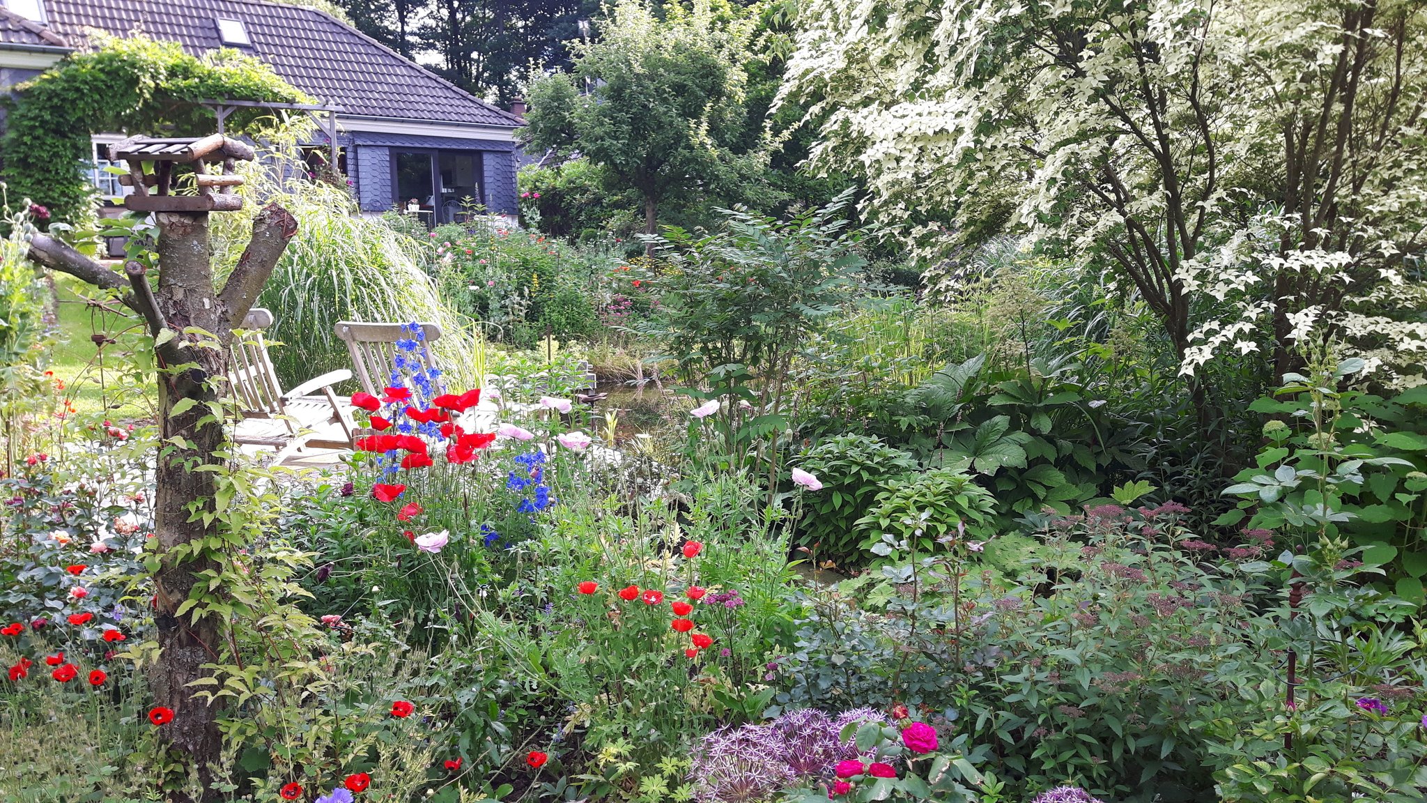 Zeigt her eure Gärten! zur "Offenen Gartenpforte 2017" Schwelm
