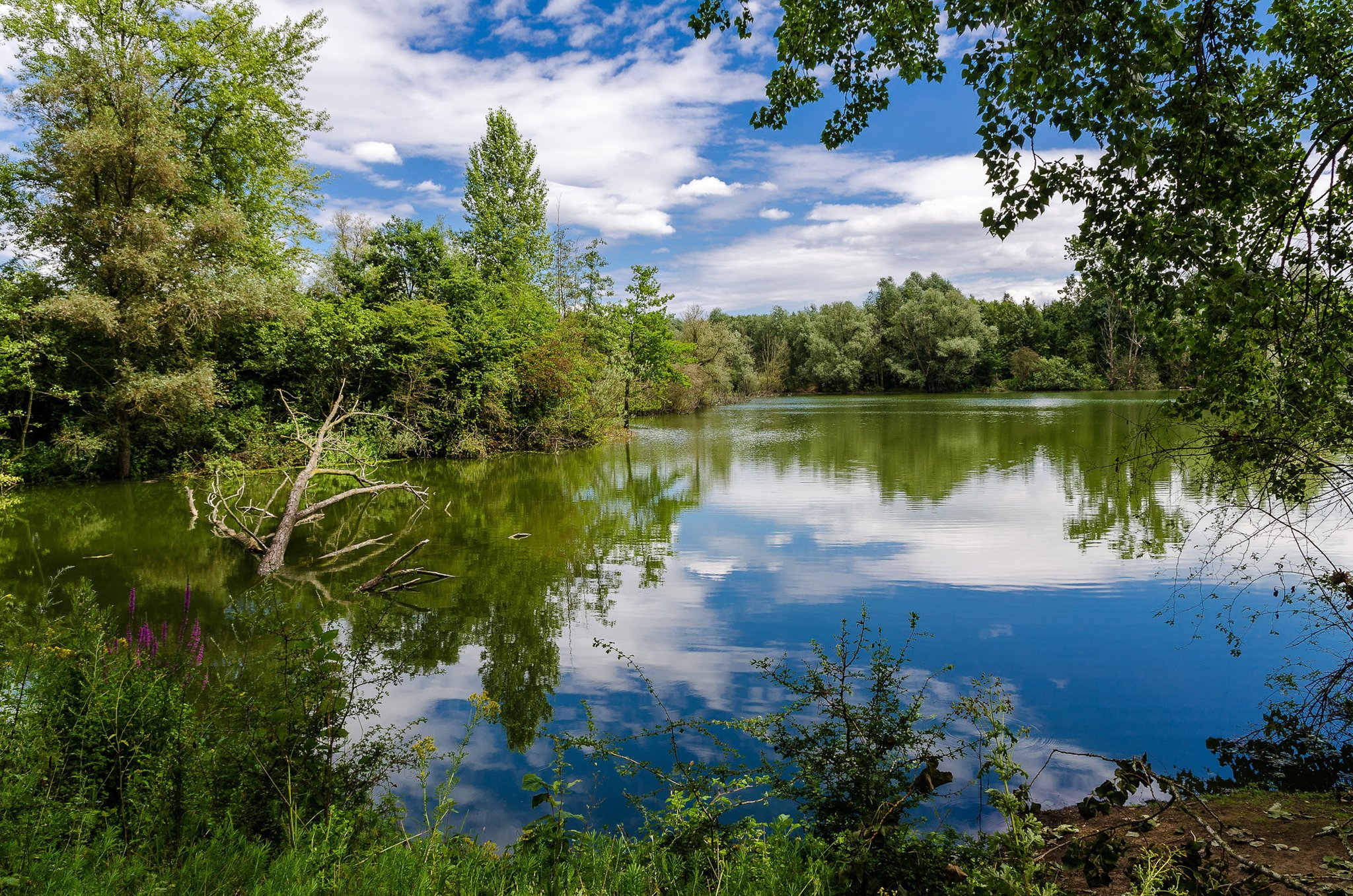 Enteckungsreise durch die Wälder, durch die Auen Xanten