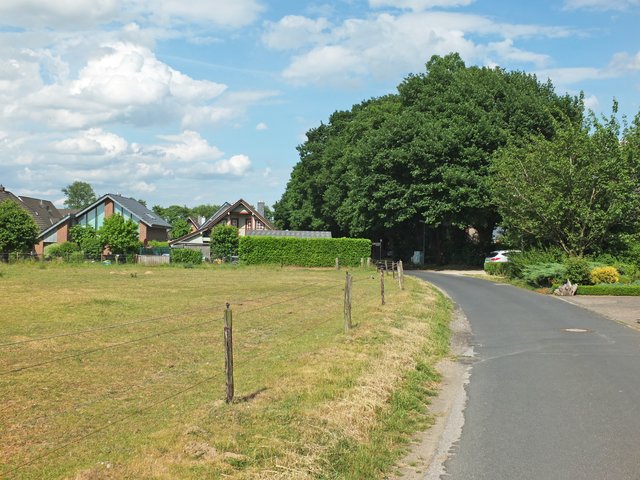 Pferdewiese und Eickestall mit historischen Eichen