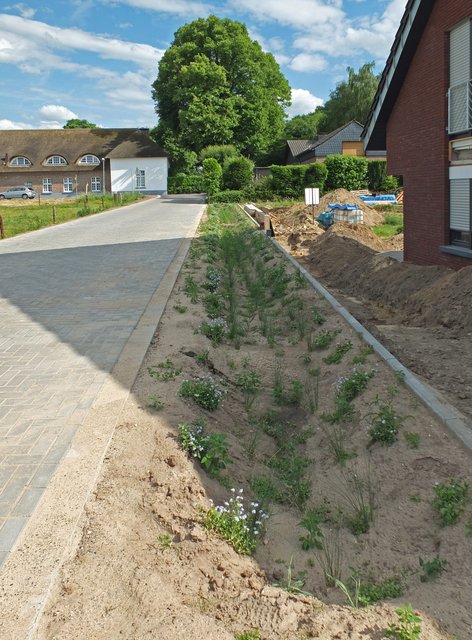 Wasserbecken an der Martin-Luther-King-Straße