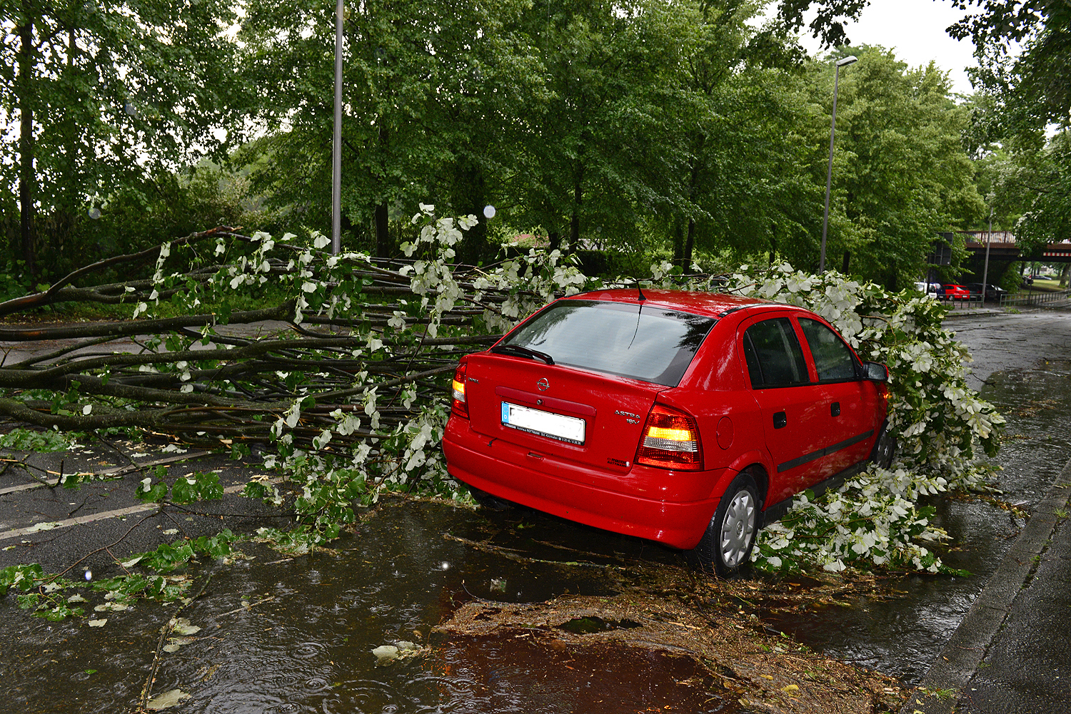Auf der Konrad-Adenauer-Allee in Höhe der Kleingartenanlage "Fuhrpark e. V." (neben der Nordpark-Anlage) riss eine Windböe 2 Äste vom Baum, die auf den Astra aufschlugen. Foto: Kariger