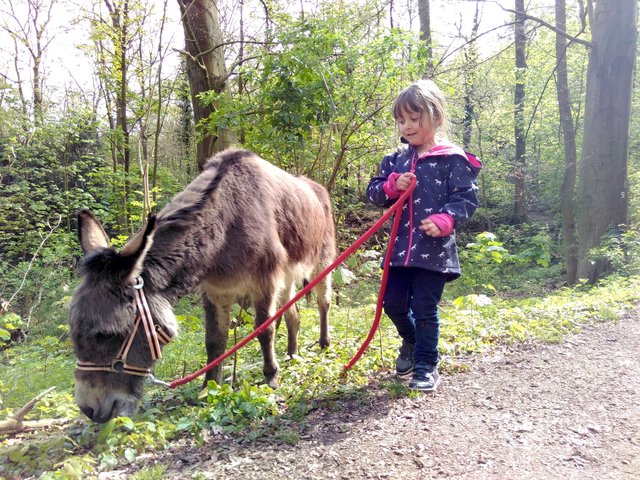 Spaziergang mit Esel. Ein Erlebnis für Kinder und Erwachsene.