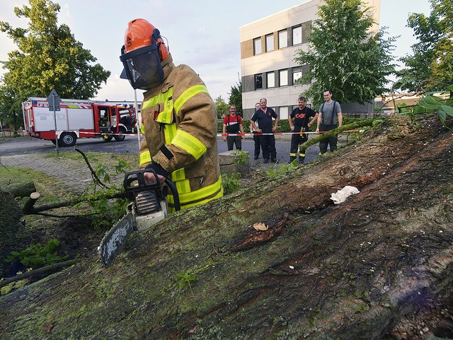 Nachdem Sturm "Ludger" am Fronleichnamstag vor allen Dingen im Norden Gladbecks heftige gewütet hatte, war die Feuerwehr über viele Stunden im Dauereinsatz. Und "Ludger" hat dazu geführt, dass die seit 1995 geltende Baumschutzsatzung erneut in die Diskussion geraten ist. | Foto: Braczko