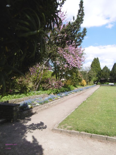 ...ein netter blumiger Rundgang ...