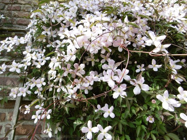 ...hhhmmm, herrlich...