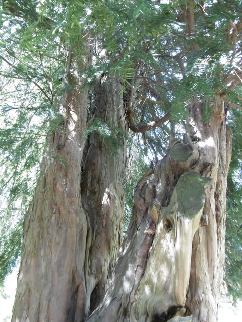 irgendwo im Benrather Park...