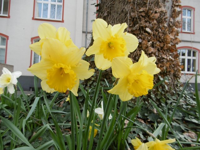 ...vor der Türe, es war ja Ende März