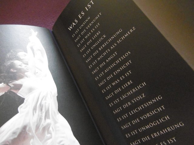 WAS IST ES...die Liebe