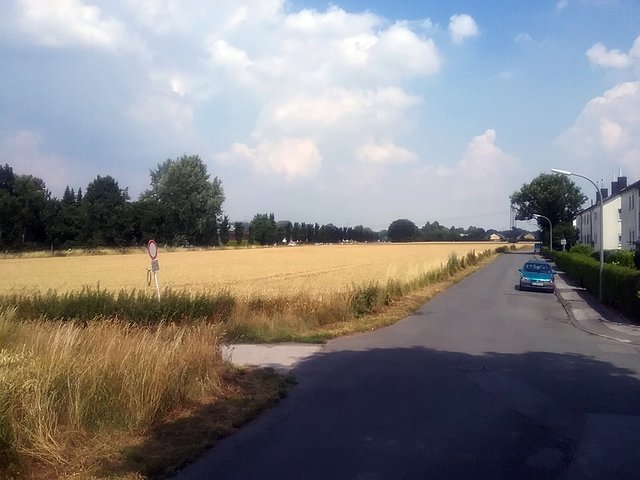 Noch reift das Getreide auf dem Acker, der bebaut werden soll. Links dahinter die Hannöversche Straße, rechts vorne der Niederster Feldweg.
