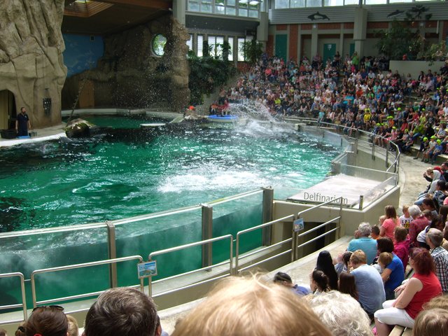 Ein Besuch im Duisburger Zoo \