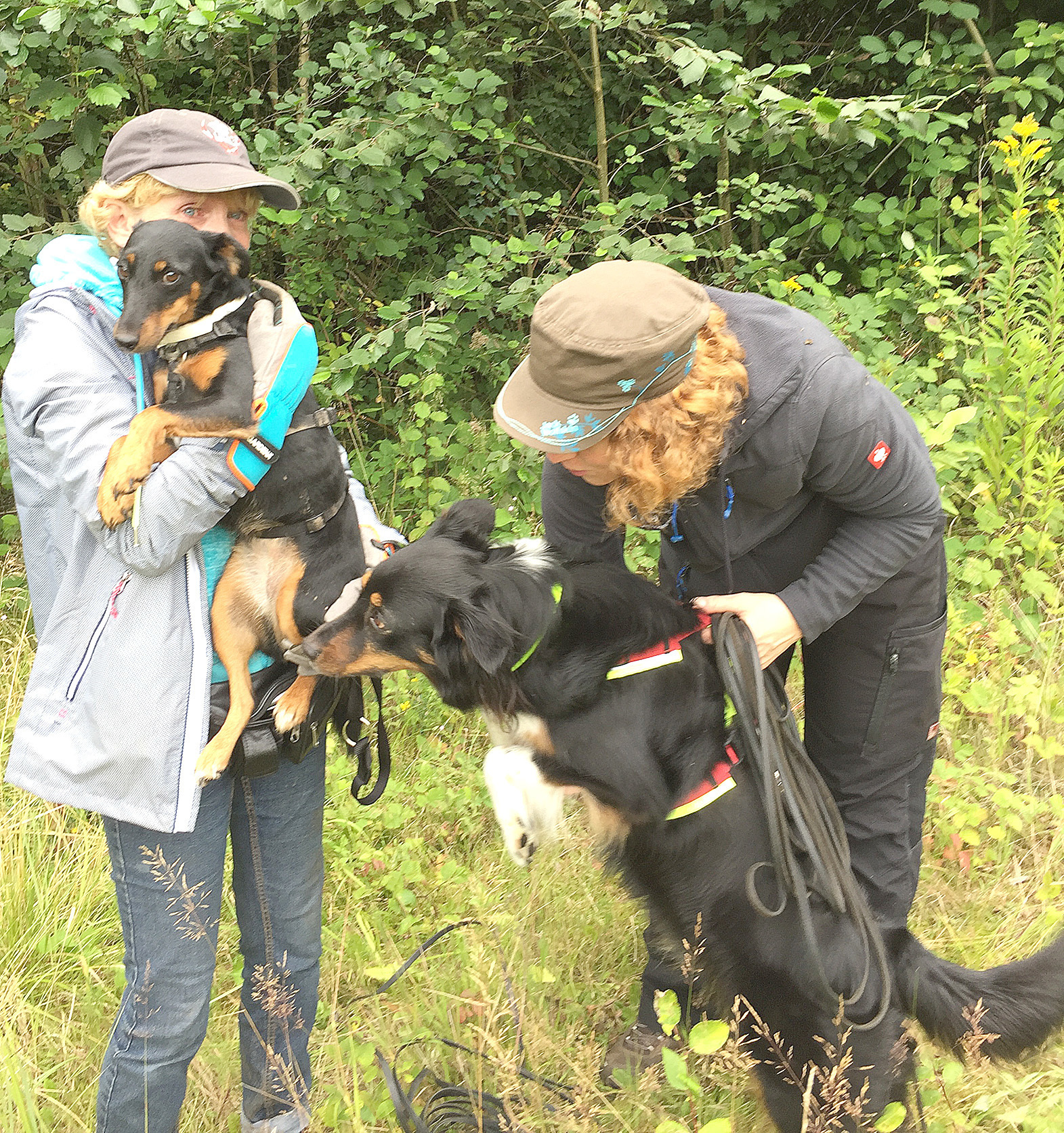 Pettrailerin Mandy van den Borg (rechts) sorgte gemeinsam mit ihrer Australian Shepherd-Hündin Feline dafür, dass Frauchen ihre Rosi wieder in die Arme schließen konnte. Foto: Verein Suchhundeinsatz