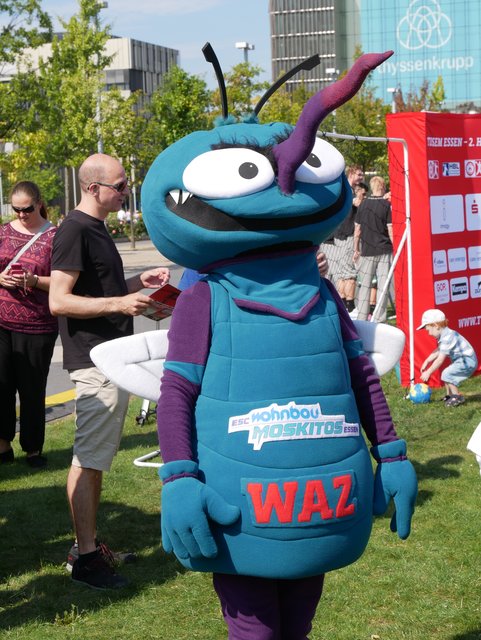 Auch das Moskito-Maskottchen schwitzte für die gute Sache.