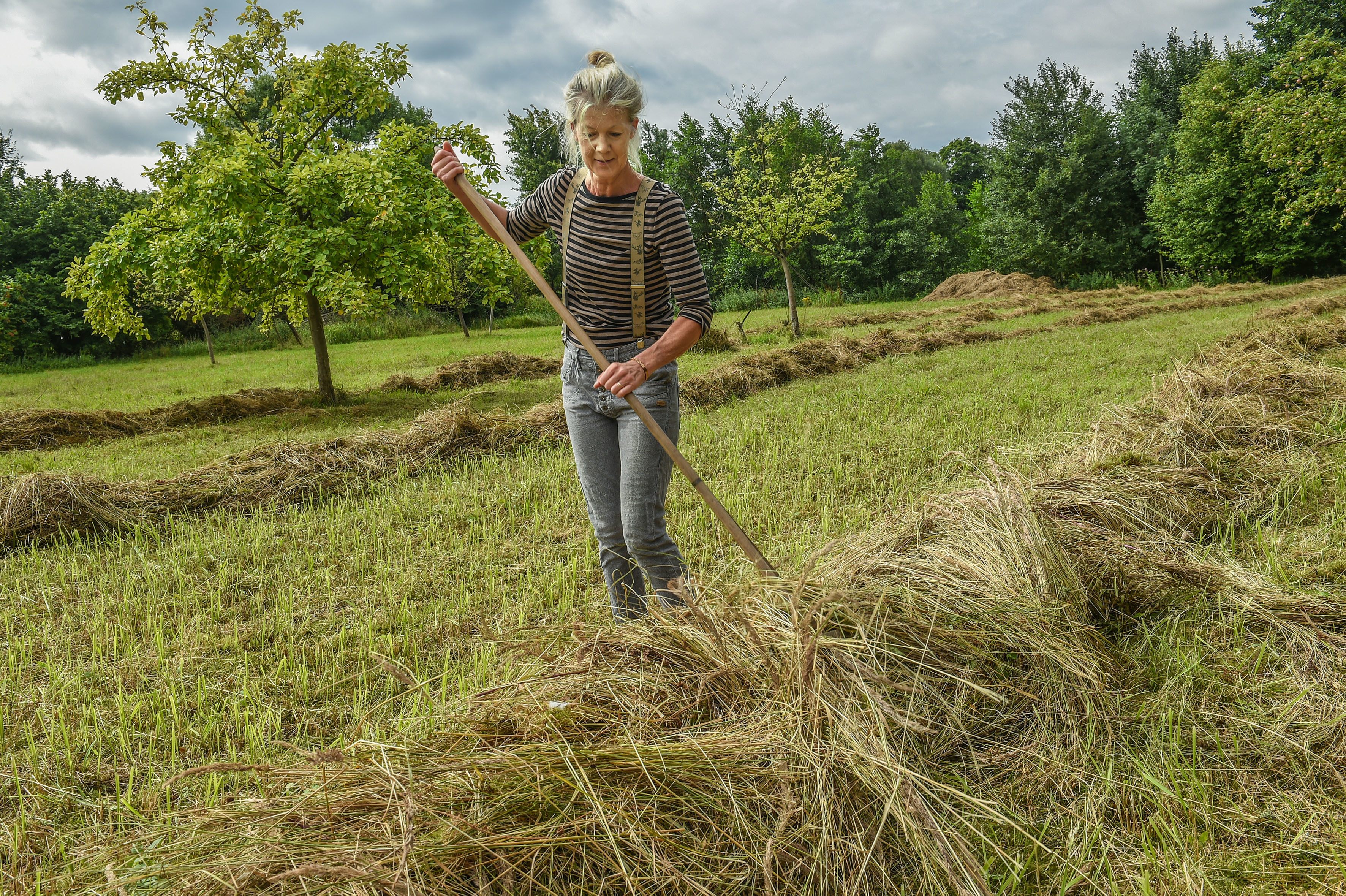Ulrike Laub gehört zu den Ehrenamtlern des Naturschutzbund Ruhr (Nabu), die sich um die Wiesenmahd kümmern. Unser Foto zeigt die Stadtwälderin beim Zusammenrechen des Mähgutes auf einer Fläche in Haarzopf.
