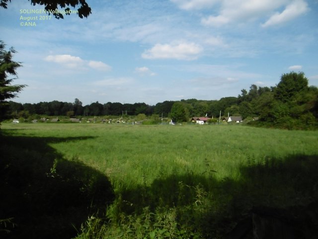 auch irgendwo in SOLINGEN ...