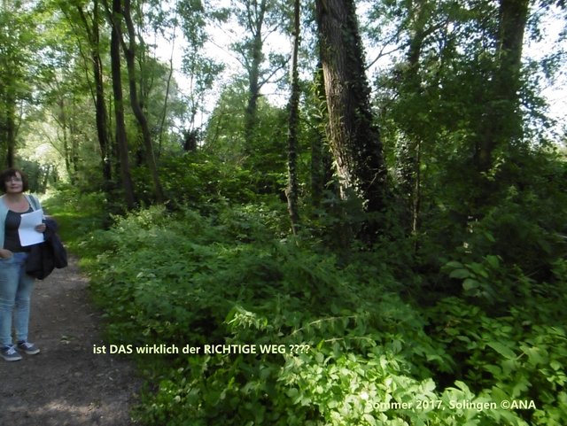 ...hier lang??? Bist Du sicher?