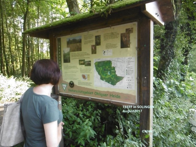 ...Ohligser´Heide ...