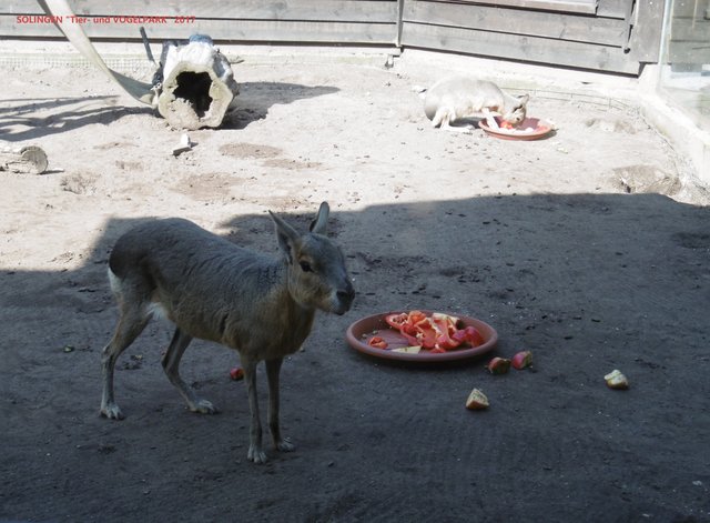 ... guten Appetit...