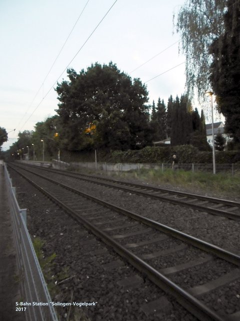 ...tschüüüüsssss aus SOLINGEN (Vogelpark)