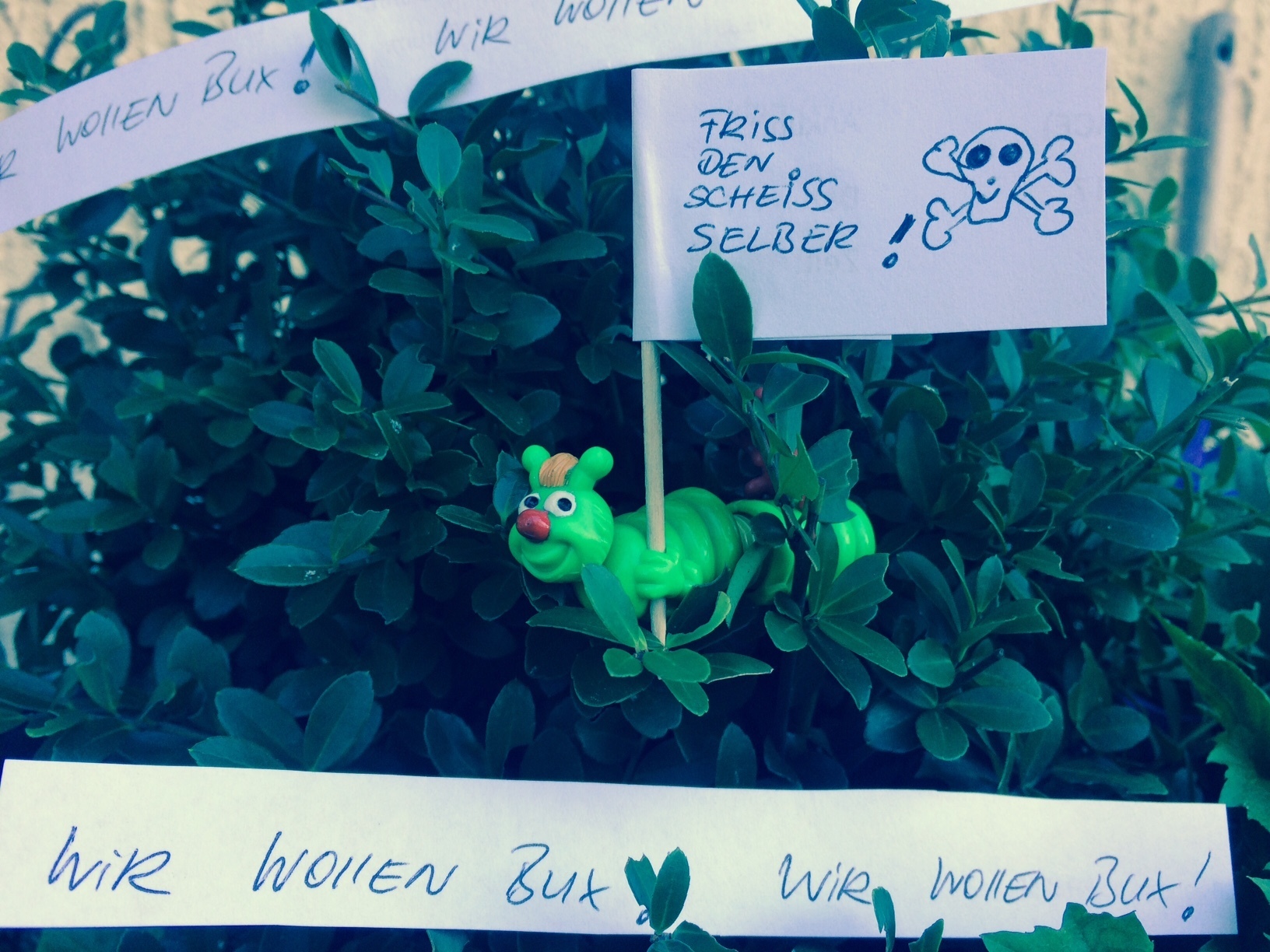 Gesellschaft der gemeinen Buchsbaumzünsler e.V. beim Demonstrieren