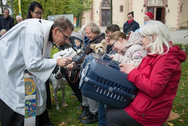 Auch die Katzen Flecki und Stella werden gesegnet.