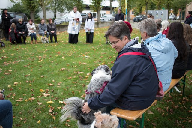 Die Verbindung zwischen Mensch und Tier soll durch den Segen gutgeheißen werden.