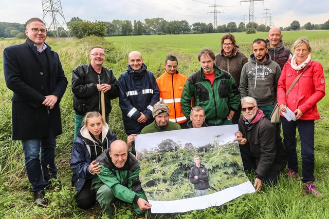 Die Herkulesstaude wird vom Team des Werkhofs bekämpft. | Foto: Schaper