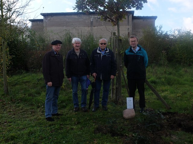 Die Vorstandsmitglieder des BSV Ulrich Drossel (Beisitzer), Wilfried Gollnick (Beisitzer), Hans Doussier (Schatzmeister) und Ewald Zmarsly (Erster Vorsitzender) nach der Pflanzaktion