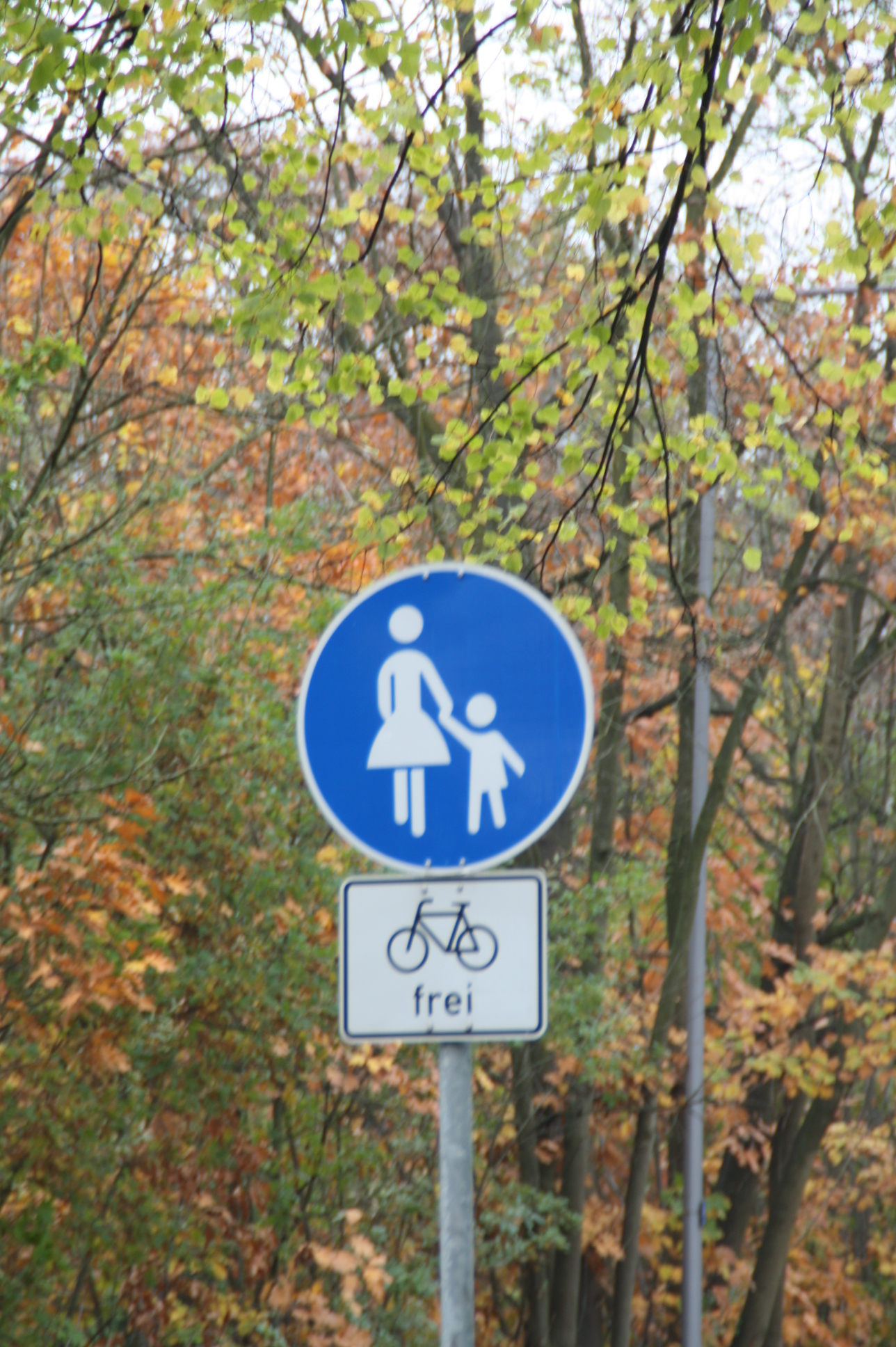 direkt nach dem asphaltieren der Str. sollten hier nur noch Fußgänger erlaubt sein !!!!