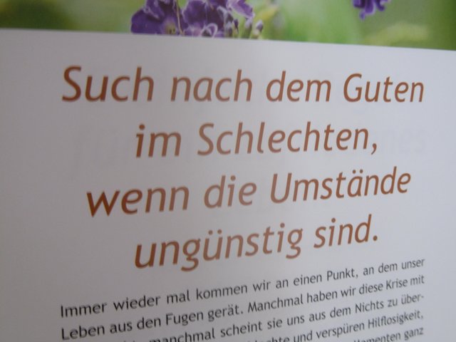 ...es war nicht "so optimal GUTES" Wetter...an diesem Tag in D-Benrath, aber wir machten das Beste´draus´...