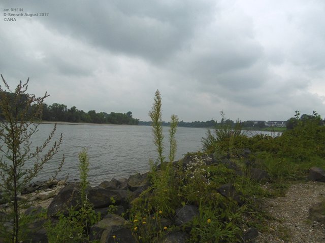 ...ein etwas schubbeliger´SOMMERTAG...