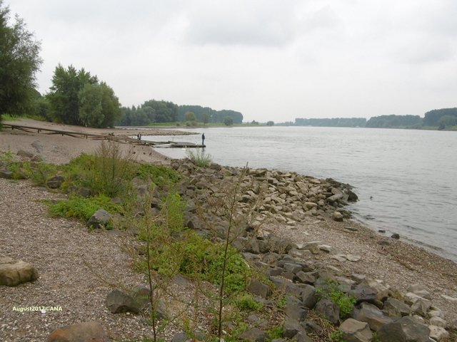 ...sind nah am Wasser; am Rhein in D-Benrath...