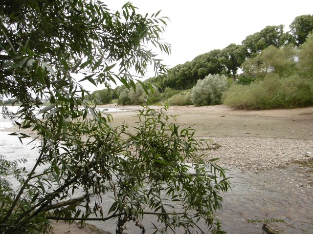 DAS ist auch in D-Benrath am Rhein, aber schon im JULI 2017!