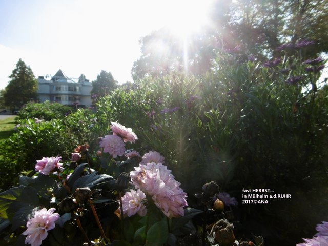 HIER schien noch SONNE! Anfang Oktober am Wasserbahnhof in MÜLHEIM/Ruhr; da aßen wir draußen ...