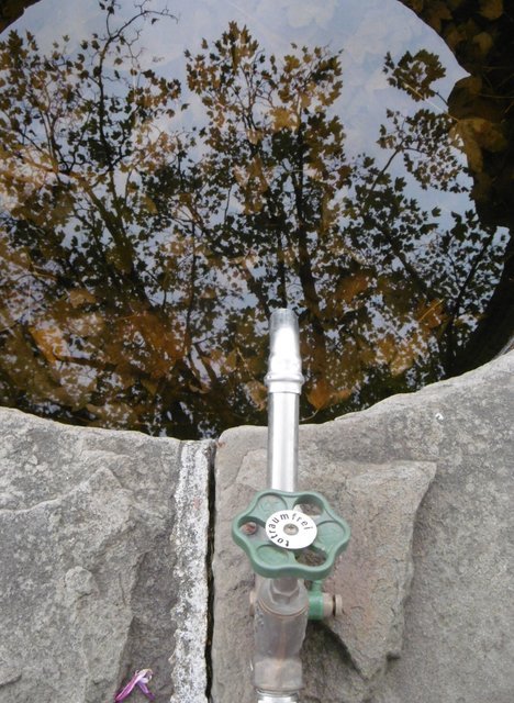 ...ohne WASSER und Sonne geht GAR NICHTS!