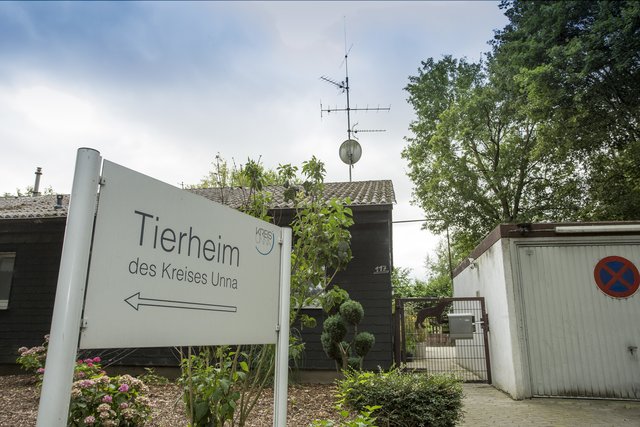 Das Tierheim des Kreises Unna bleibt weiterhin für den Publikumsverkehr geschlossen. Foto: Jörg Prochnow