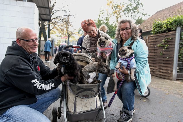 Beim Herbstfest im Tierheim durften die vierbeinigen Freunde natürlich nicht fehlen.