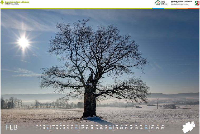 Fotokalender 2018 - Monat Februar