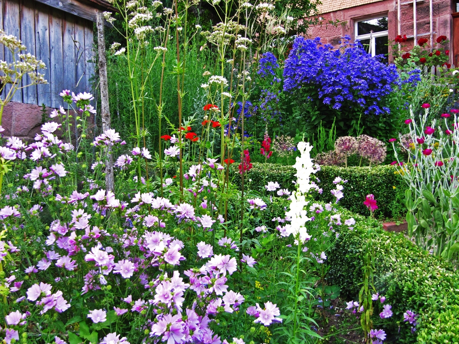 So oder so ähnlich könnte der Bauerngarten aussehen